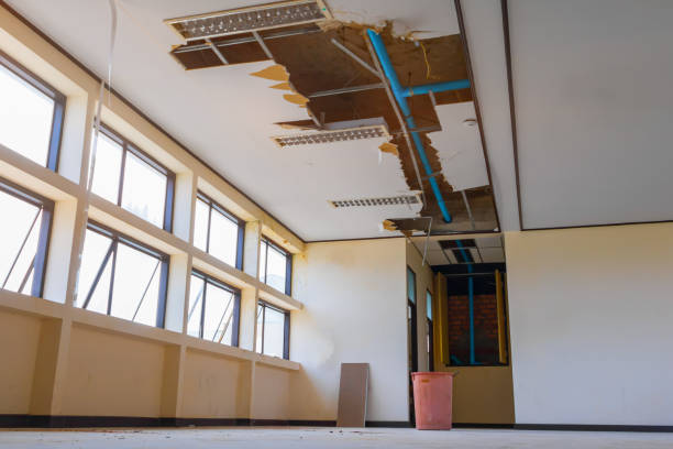 Best Water damage contractors near me  in Elkhart, IN