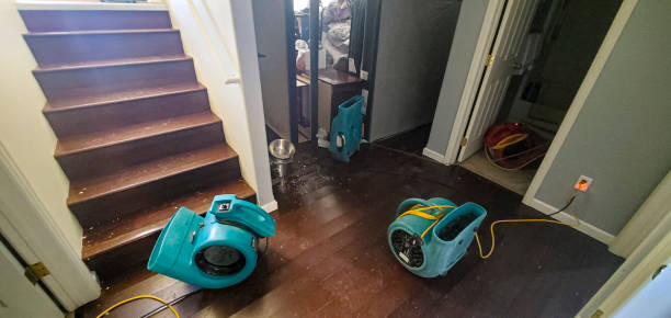 Best Water damage cleanup near me  in Elkhart, IN