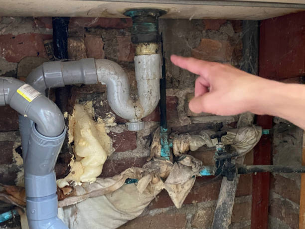 Best 24/7 water damage repair  in Elkhart, IN