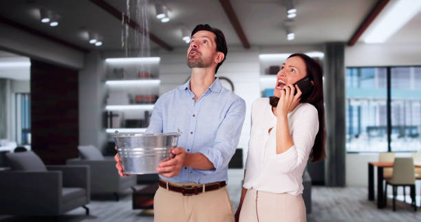 Best Flooded house restoration  in Elkhart, IN